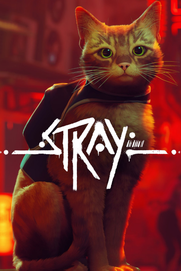 Stray